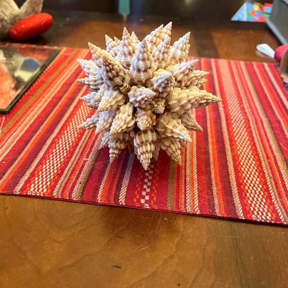 Shell sphere. Island decor 5 inch tall. - Picture 1 of 7